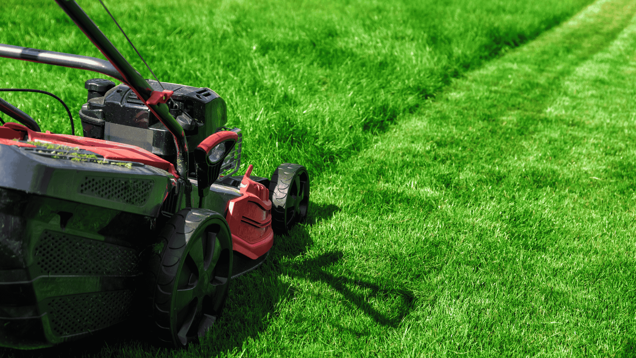 Lawn Mowing & Edging